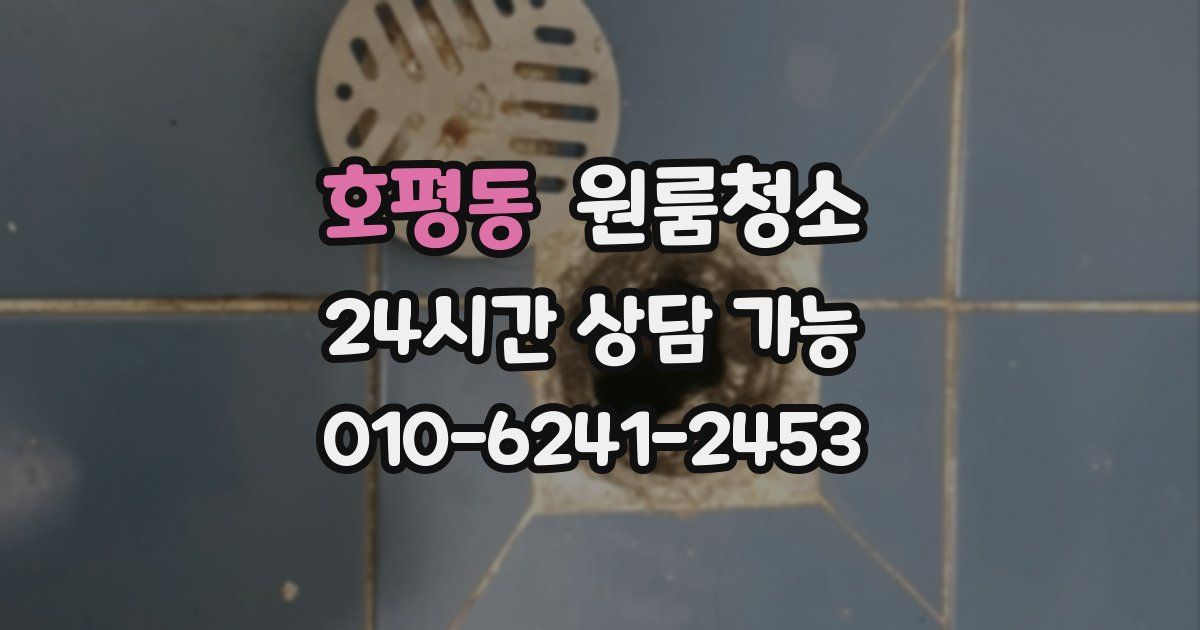 호평동 입주청소