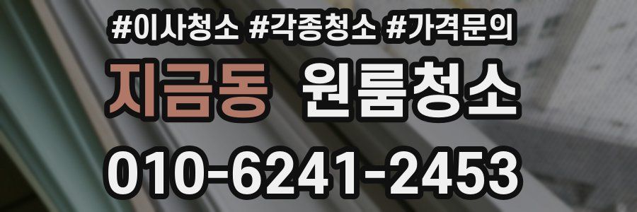 지금동 이사청소
