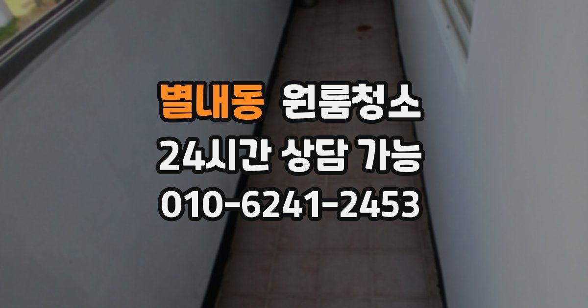 별내동 입주청소