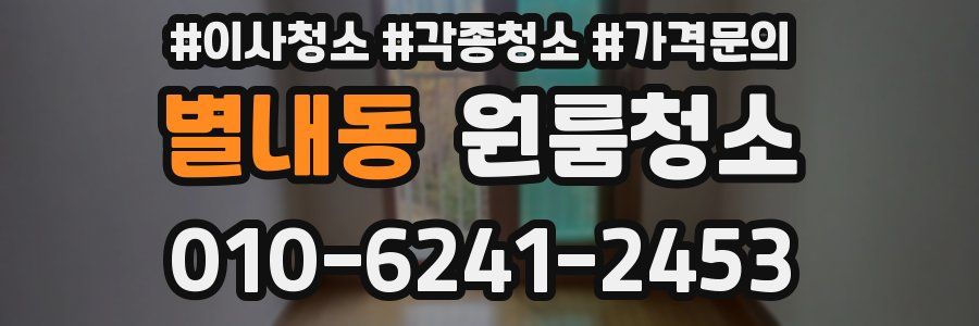 별내동 이사청소