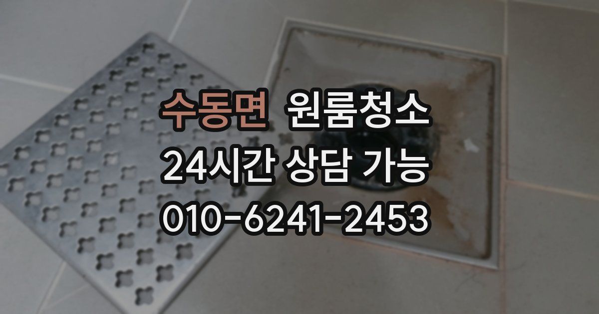 수동면 입주청소