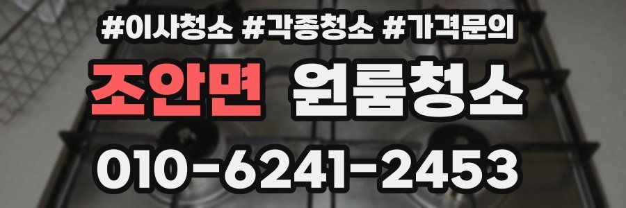 조안면 이사청소
