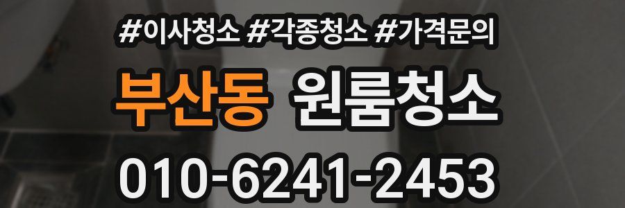 부산동 이사청소