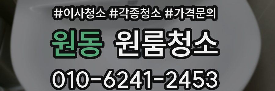 원동 이사청소