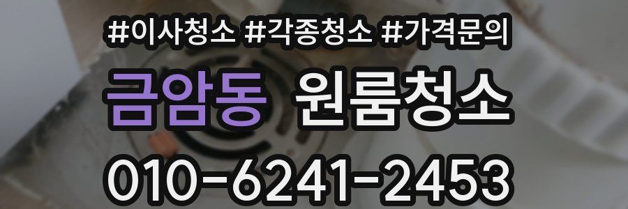 금암동 이사청소