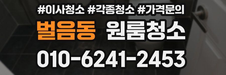 벌음동 이사청소