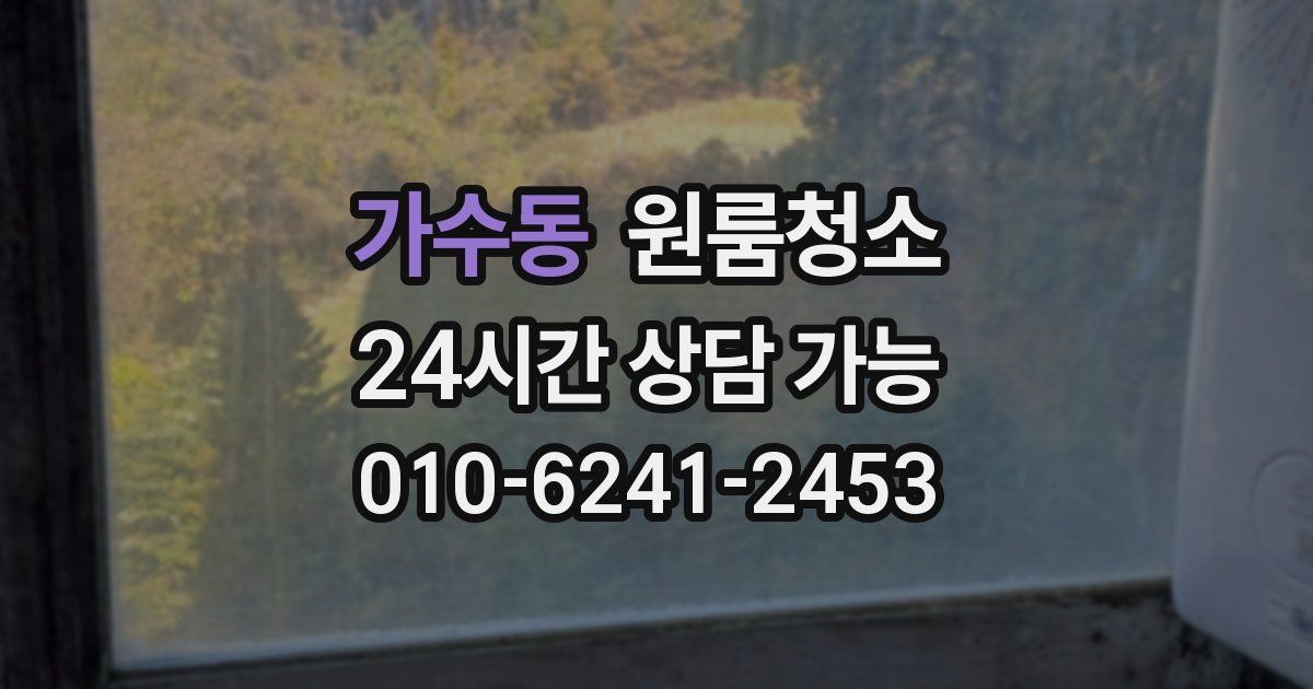 가수동 입주청소