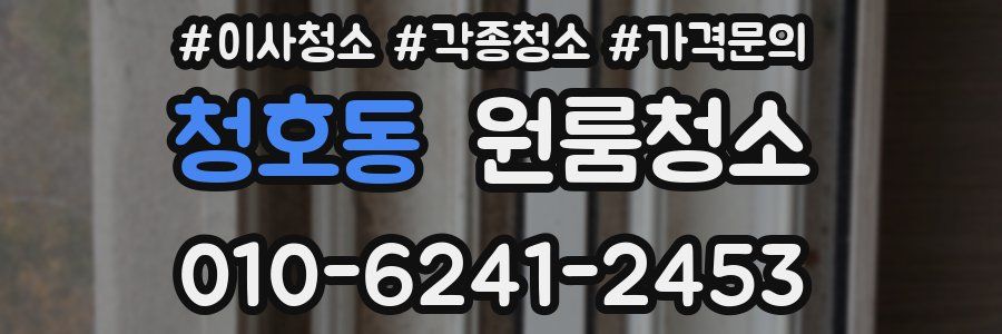 청호동 이사청소