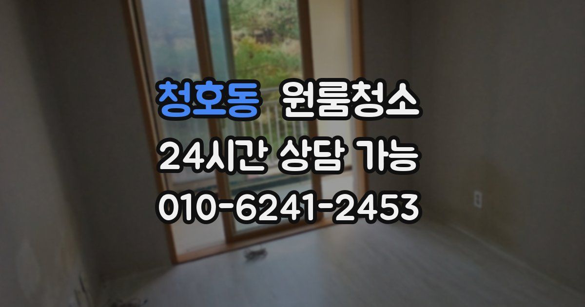 청호동 입주청소