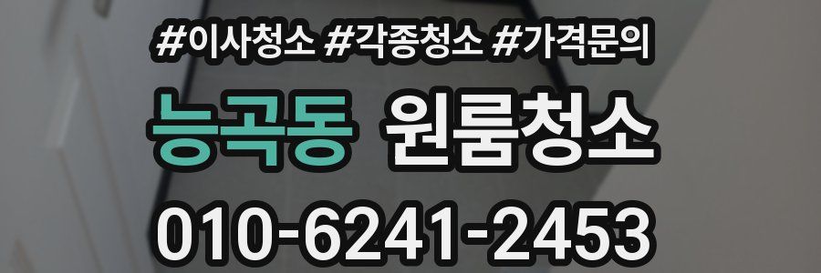 능곡동 이사청소