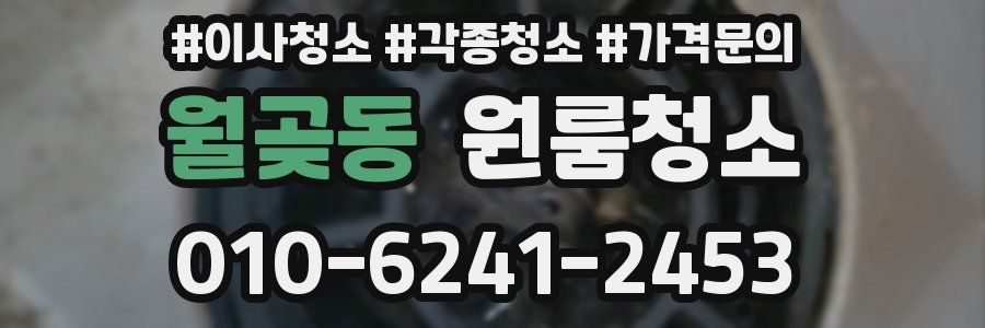 월곶동 이사청소