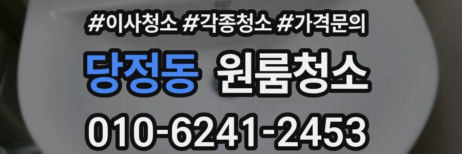 당정동 이사청소