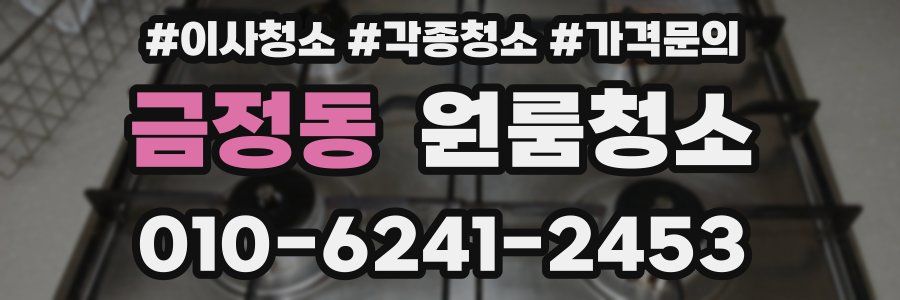 금정동 이사청소
