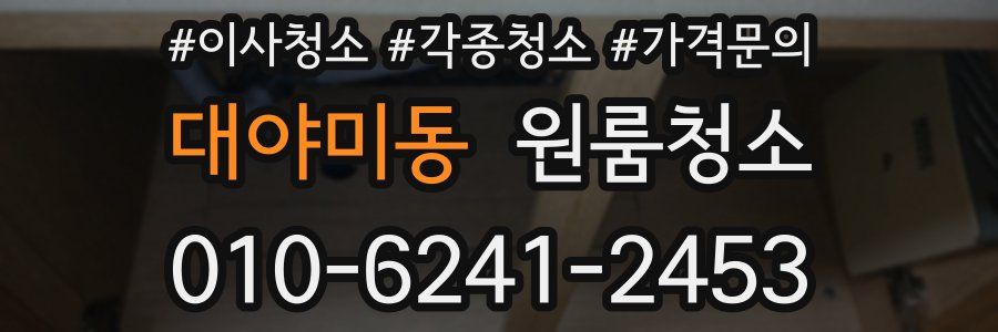 대야미동 이사청소