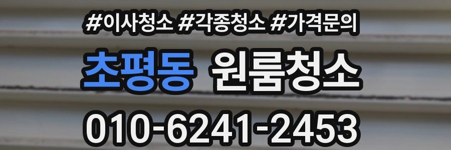 초평동 이사청소