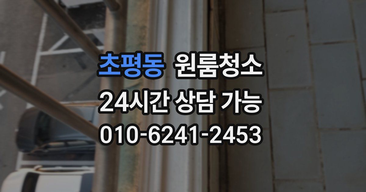 초평동 입주청소