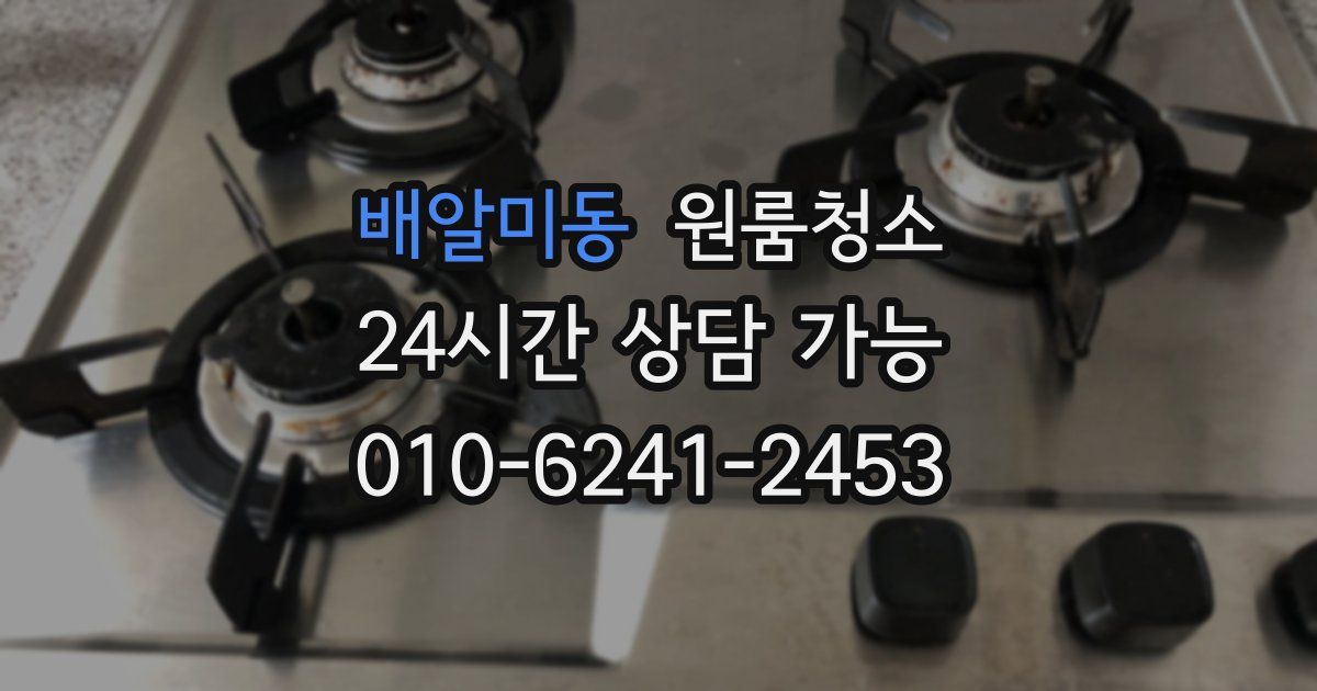 배알미동 입주청소