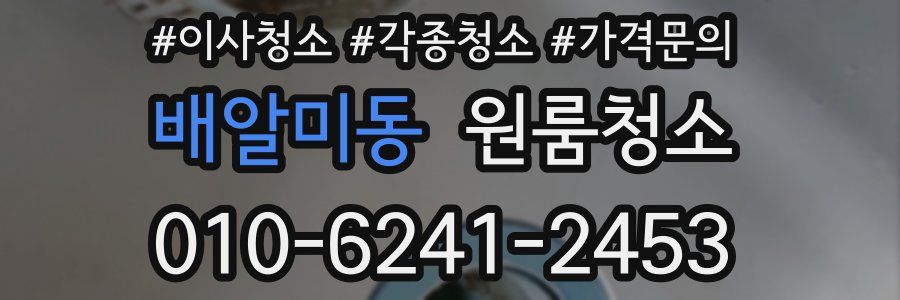 배알미동 이사청소