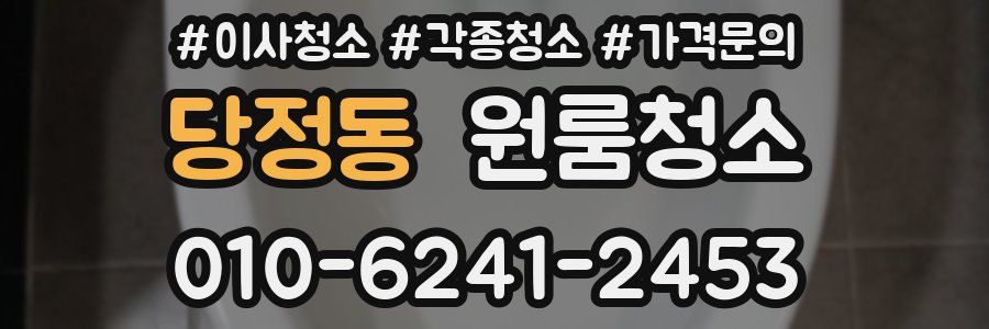 당정동 이사청소