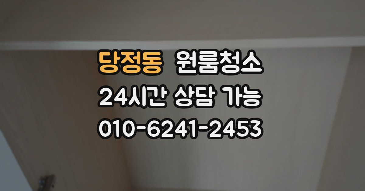 당정동 입주청소