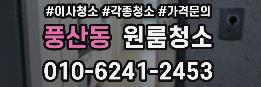 풍산동 이사청소