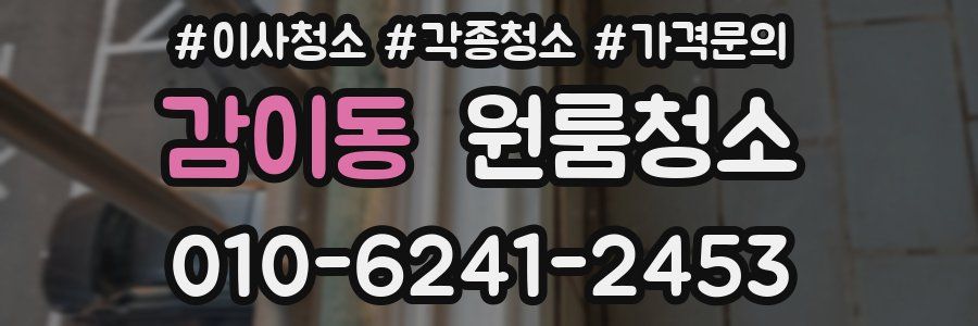 감이동 이사청소