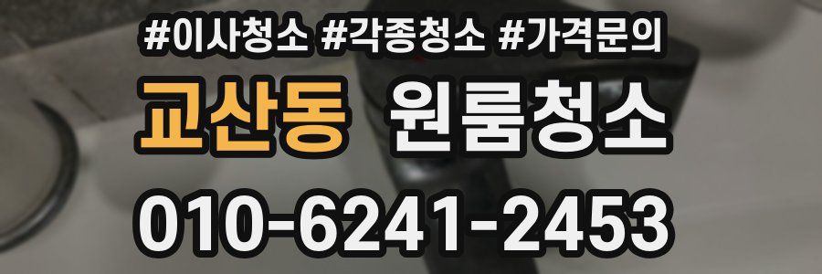 교산동 이사청소