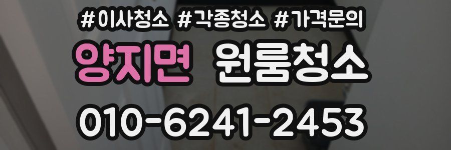 양지면 이사청소