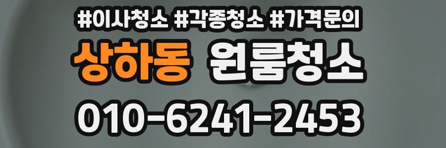 상하동 이사청소