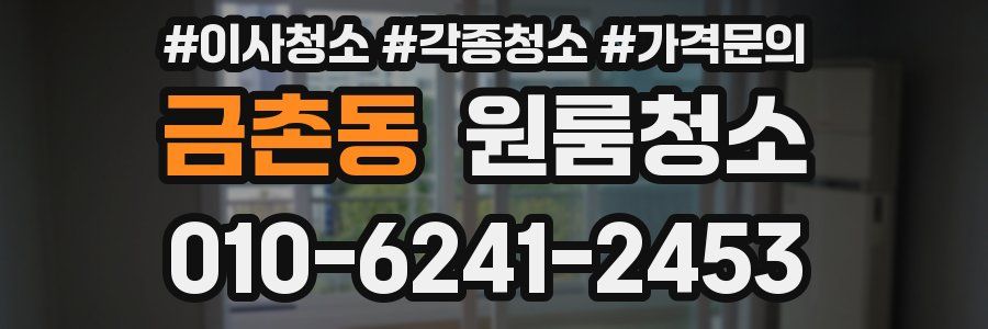 금촌동 이사청소