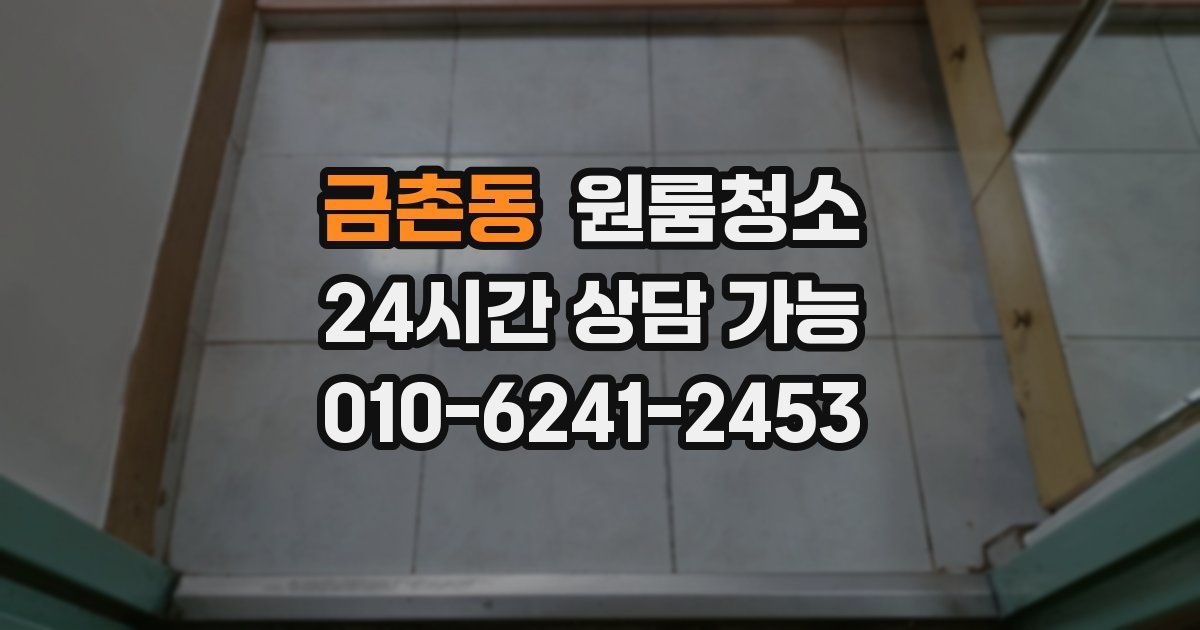 금촌동 입주청소