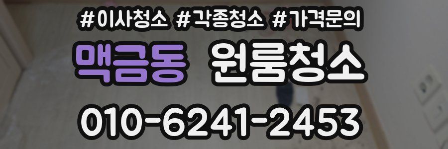 맥금동 이사청소