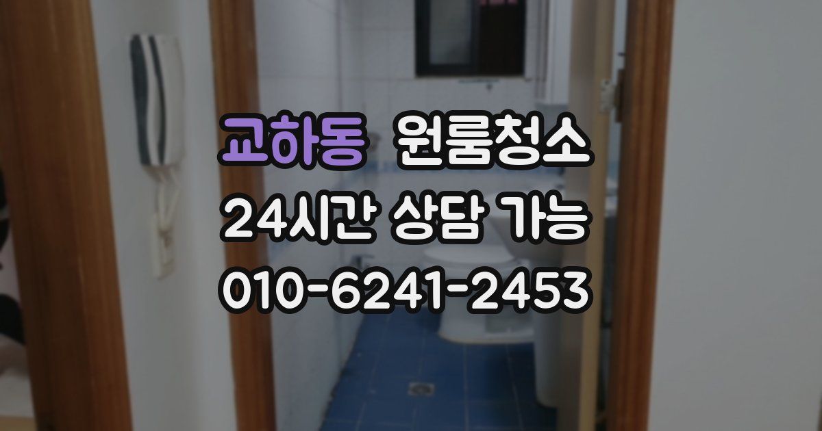 교하동 입주청소