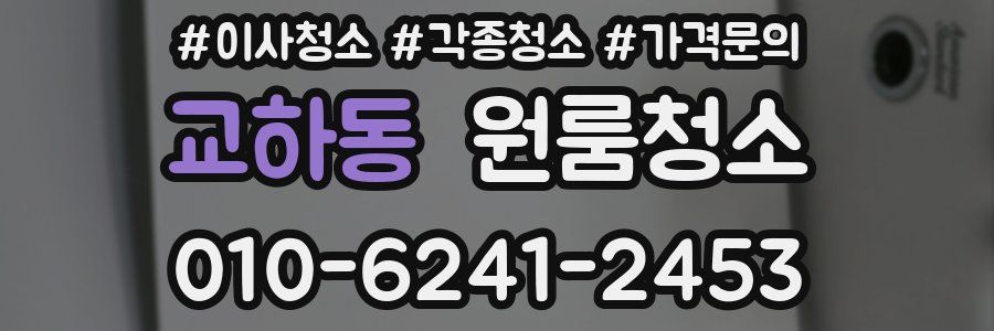 교하동 이사청소