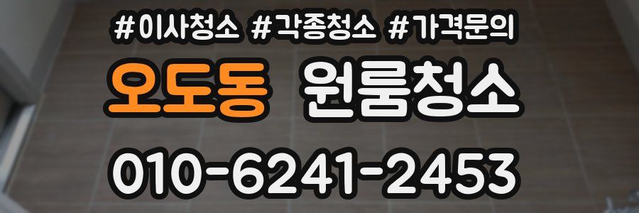 오도동 이사청소