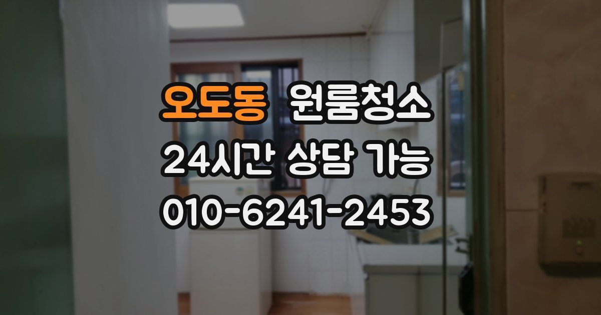 오도동 입주청소