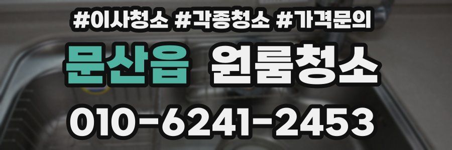 문산읍 이사청소