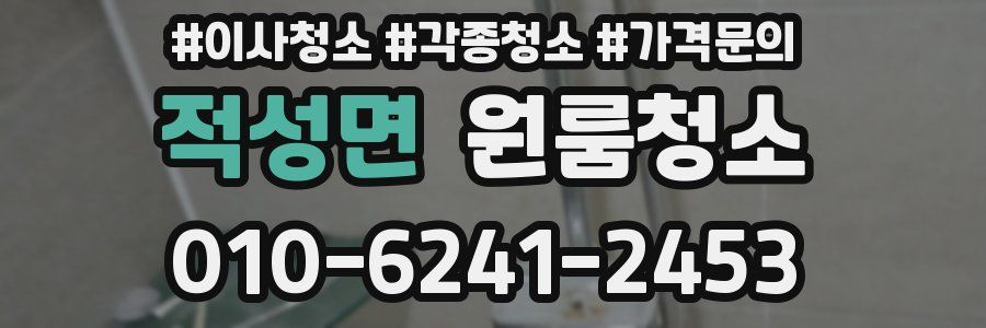 적성면 이사청소