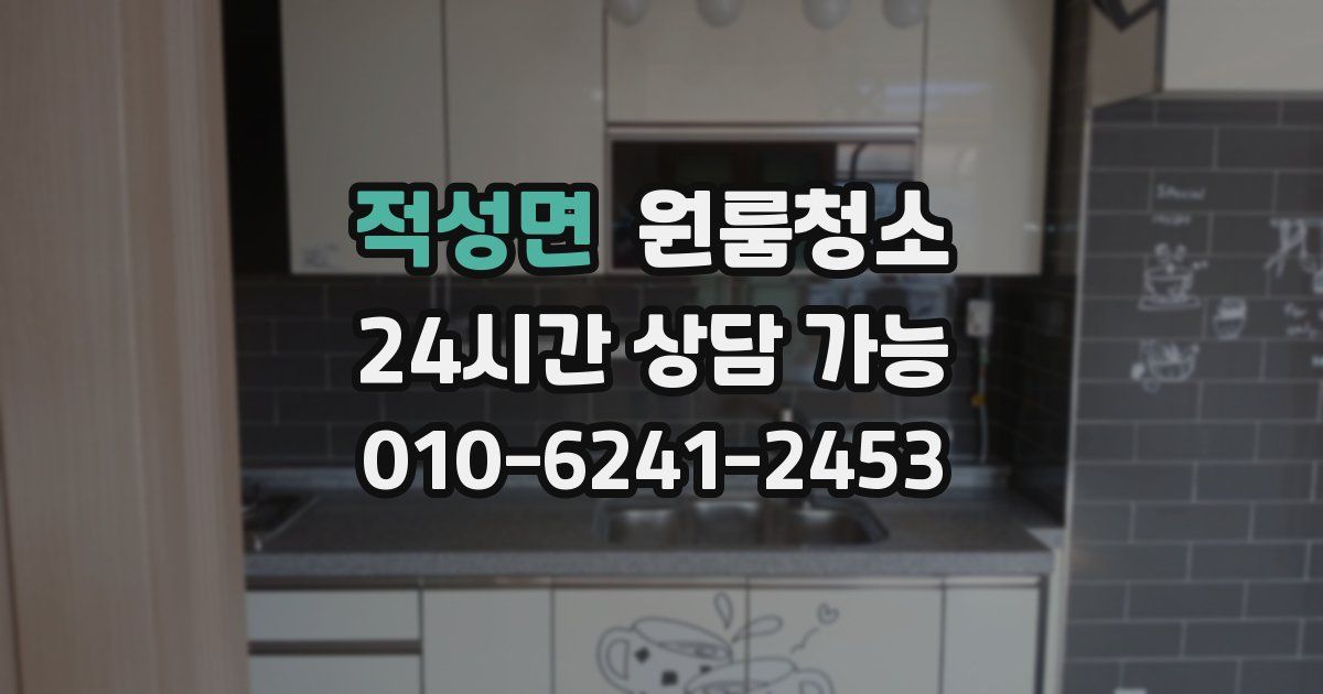 적성면 입주청소