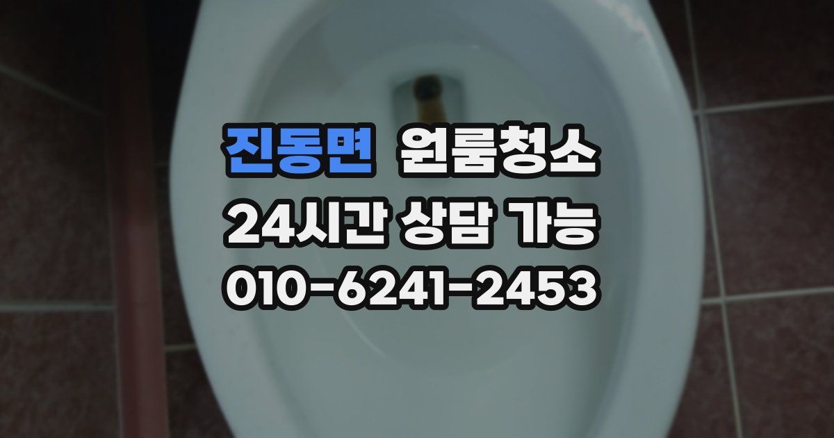 진동면 입주청소