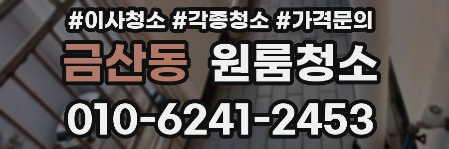 금산동 이사청소