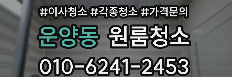 운양동 이사청소