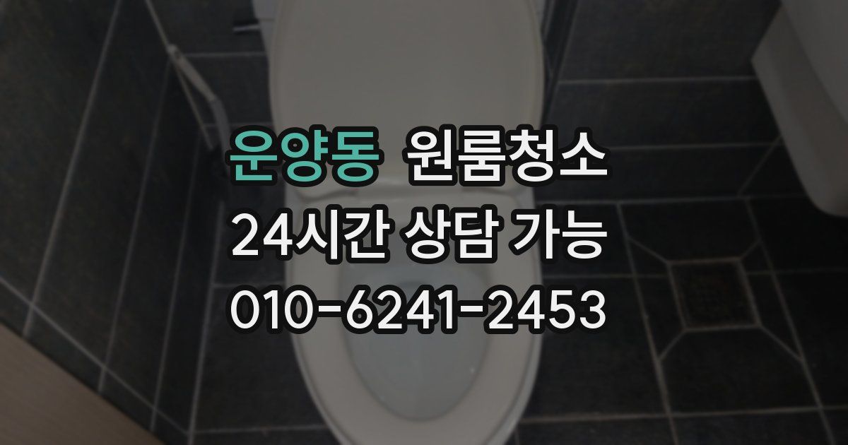 운양동 입주청소