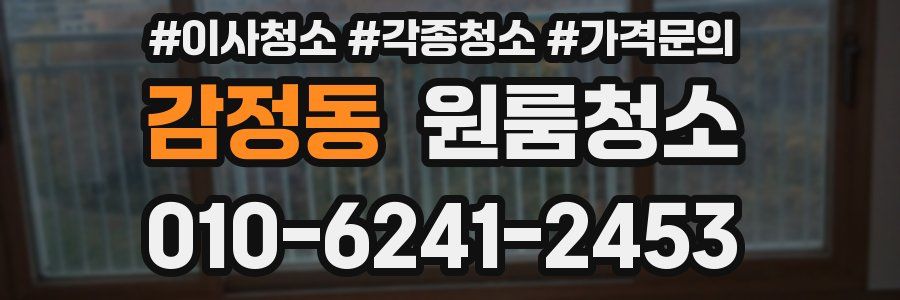 감정동 이사청소