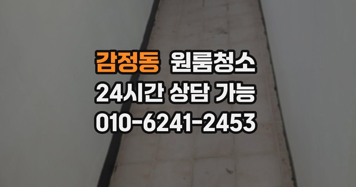 감정동 입주청소