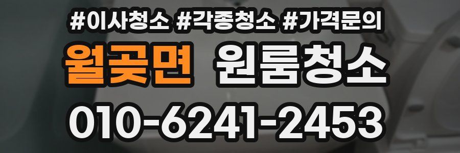 월곶면 이사청소