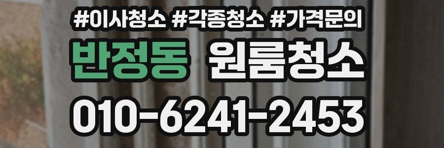 반정동 이사청소