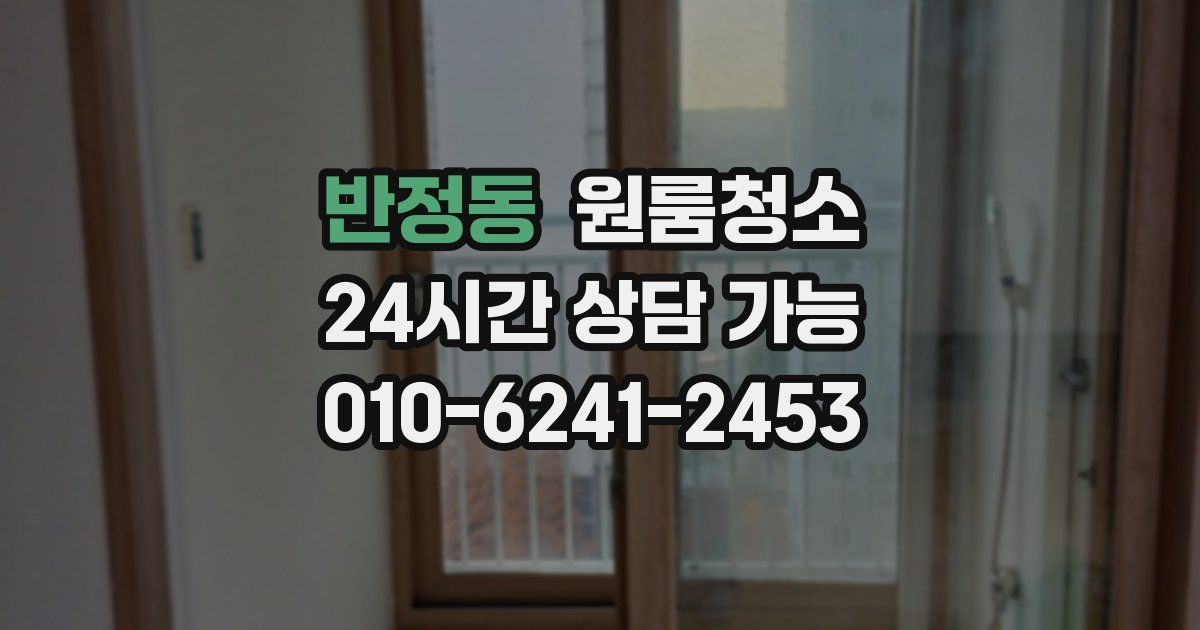 반정동 입주청소