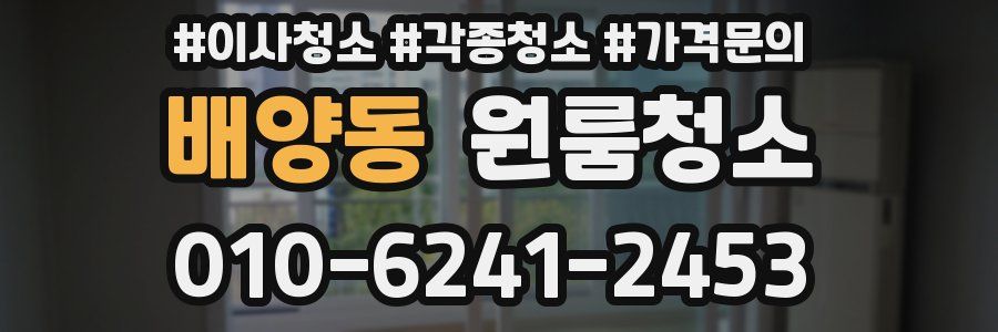 배양동 이사청소