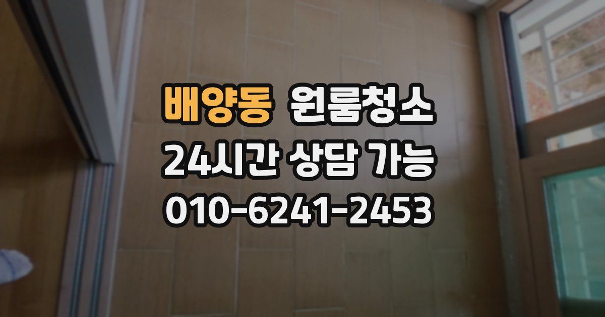 배양동 입주청소